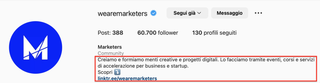 bio instagram marketers