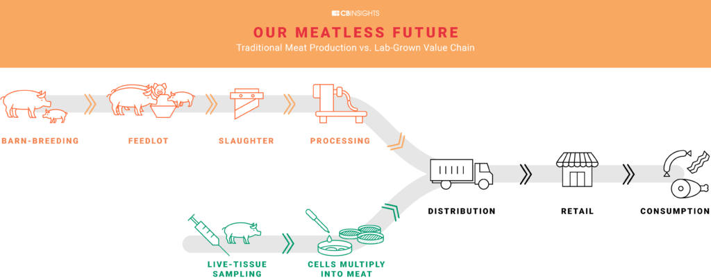 Il futuro della carne